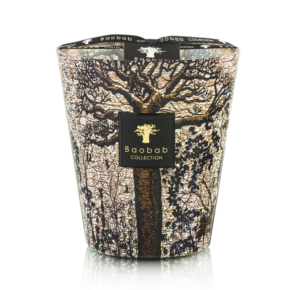 Baobab Collection -    Scented Candle Sacred Trees Morondo