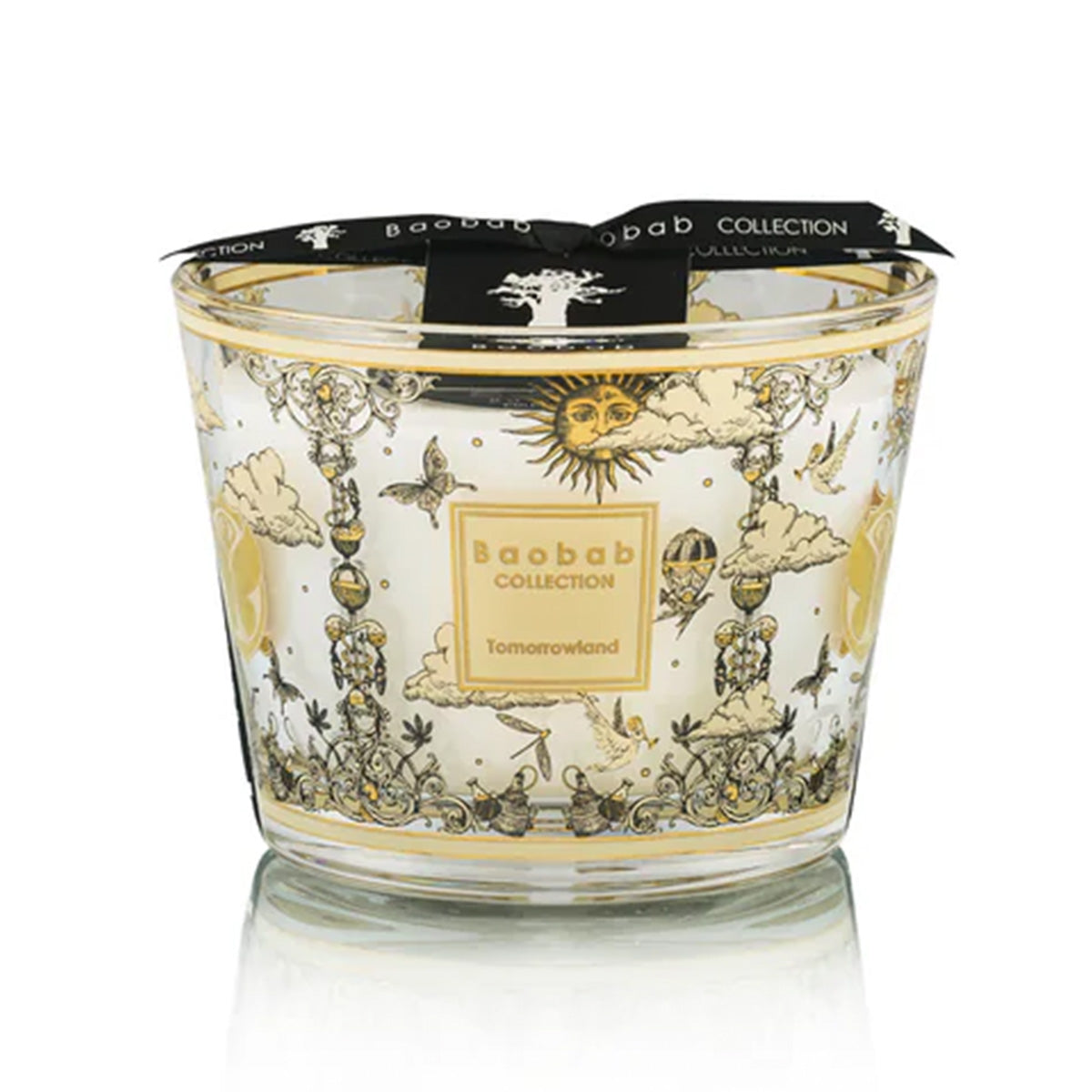 Tomorrowland 2025 MAX10